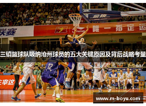 三镇篮球队吸纳沧州球员的五大关键原因及背后战略考量