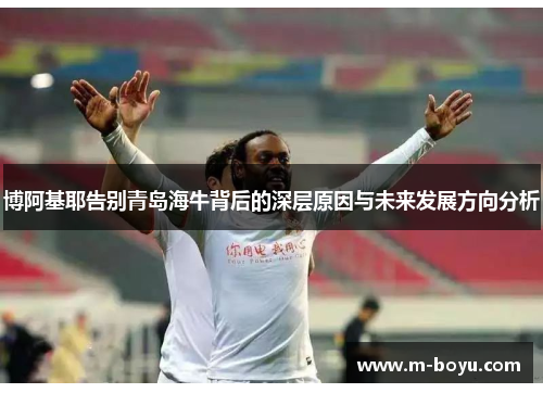 博阿基耶告别青岛海牛背后的深层原因与未来发展方向分析