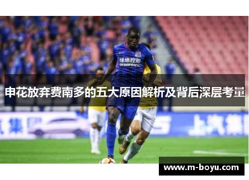 申花放弃费南多的五大原因解析及背后深层考量