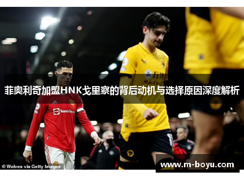 菲奥利奇加盟HNK戈里察的背后动机与选择原因深度解析