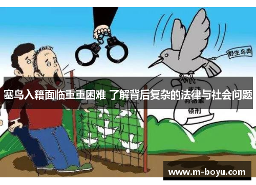 塞鸟入籍面临重重困难 了解背后复杂的法律与社会问题