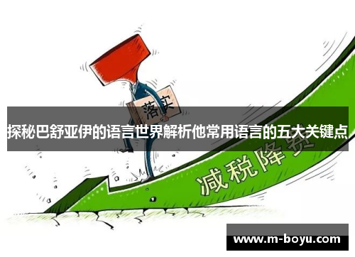 探秘巴舒亚伊的语言世界解析他常用语言的五大关键点